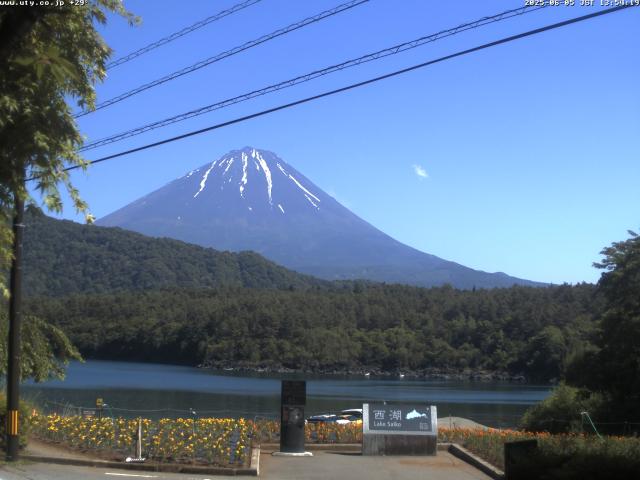 西湖からの富士山