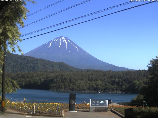 西湖からの富士山