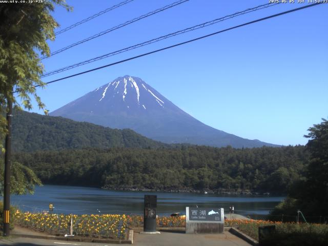 西湖からの富士山