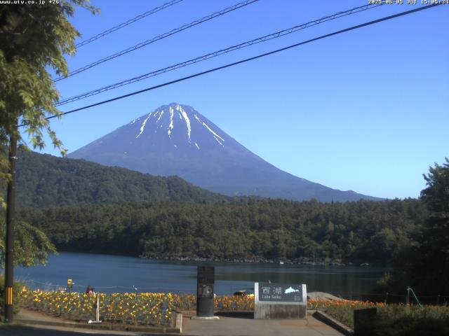 西湖からの富士山