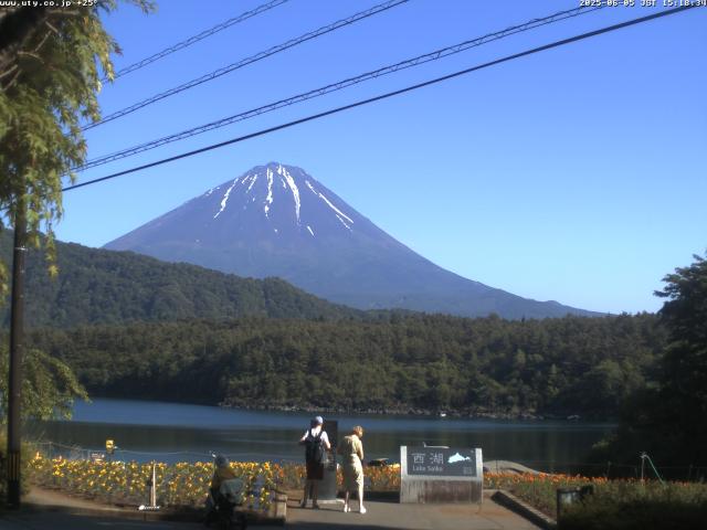 西湖からの富士山