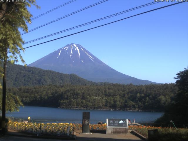 西湖からの富士山