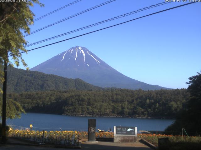 西湖からの富士山