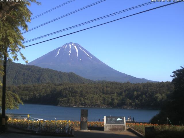 西湖からの富士山