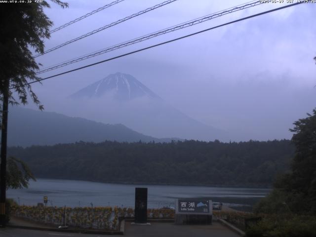 西湖からの富士山