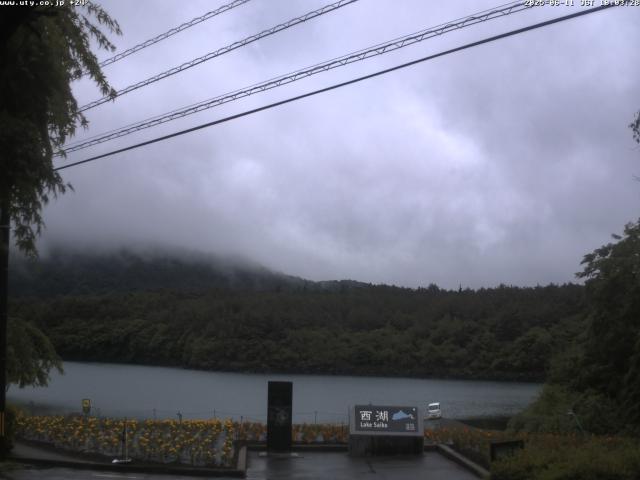 西湖からの富士山