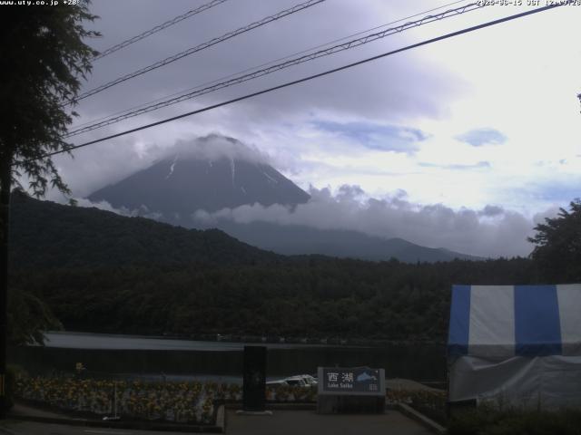 西湖からの富士山