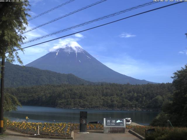 西湖からの富士山
