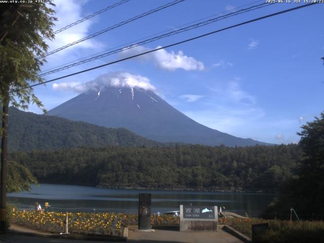 西湖からの富士山