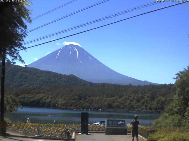 西湖からの富士山