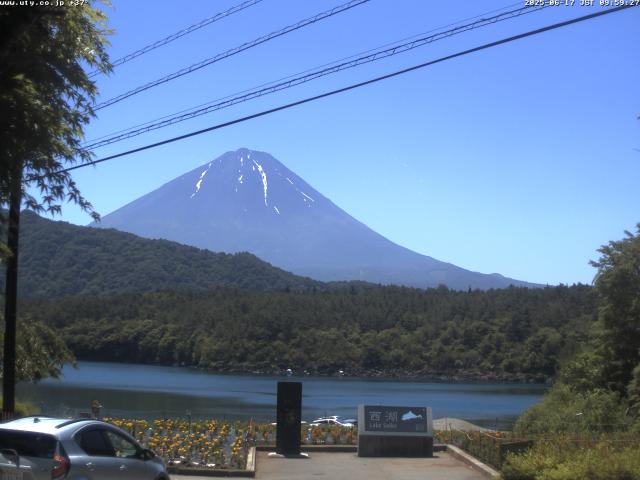 西湖からの富士山