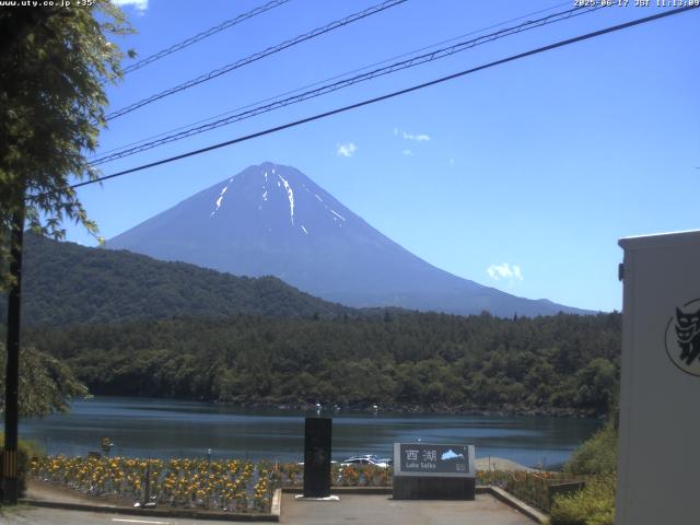 西湖からの富士山