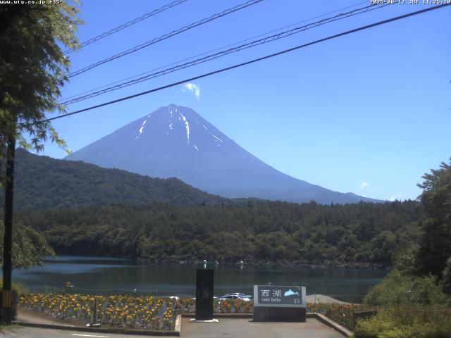 西湖からの富士山