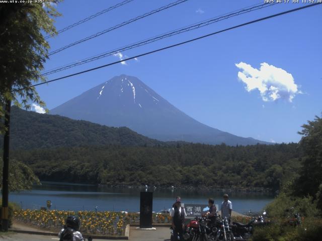 西湖からの富士山