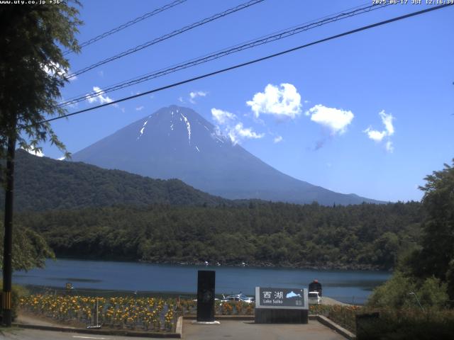 西湖からの富士山
