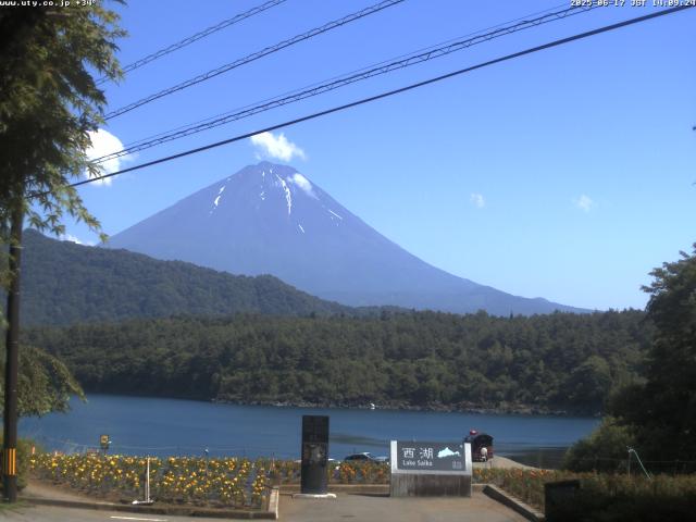 西湖からの富士山