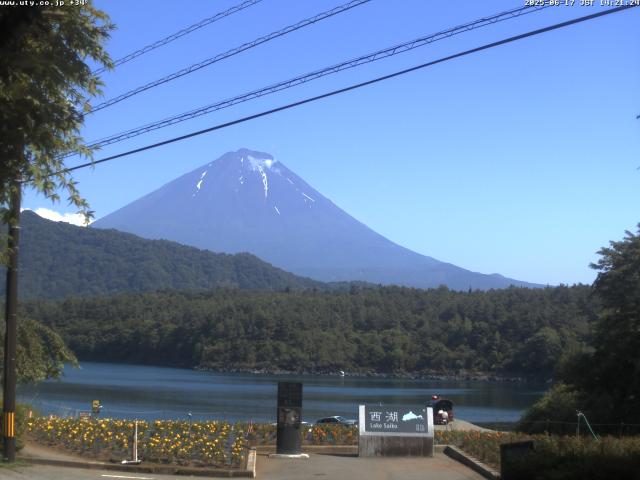 西湖からの富士山