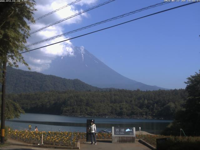 西湖からの富士山