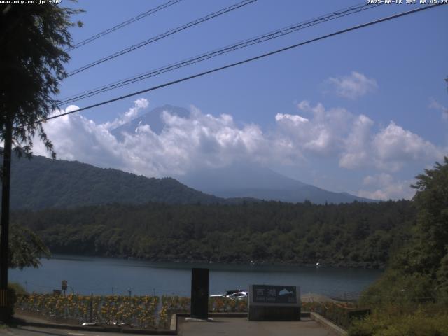 西湖からの富士山