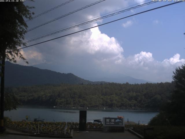西湖からの富士山