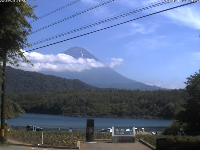 西湖からの富士山