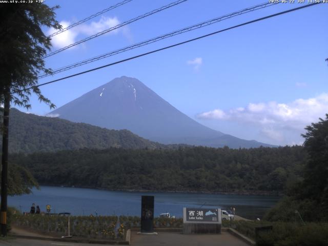 西湖からの富士山