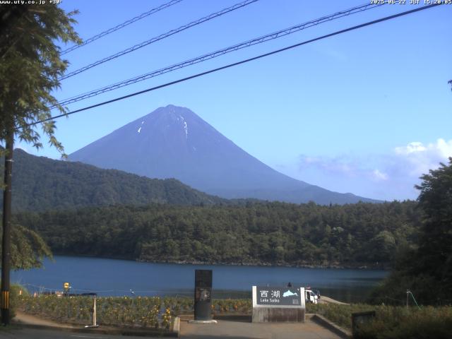 西湖からの富士山