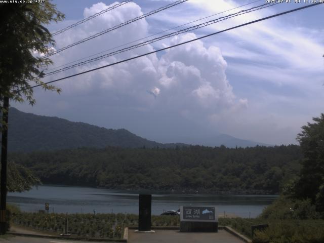 西湖からの富士山