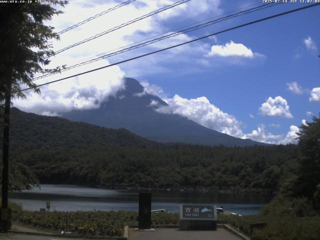 西湖からの富士山