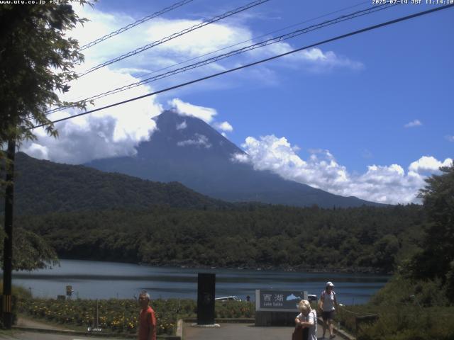 西湖からの富士山