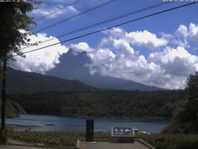 西湖からの富士山