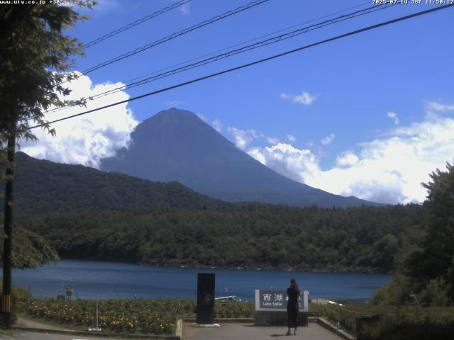 西湖からの富士山