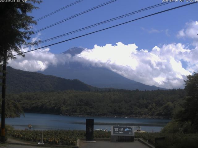 西湖からの富士山