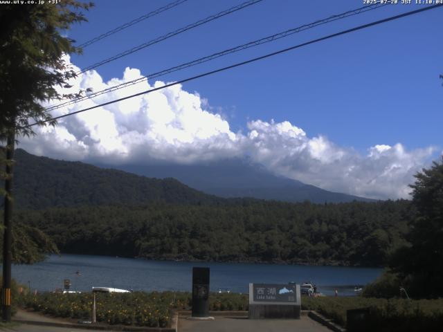 西湖からの富士山