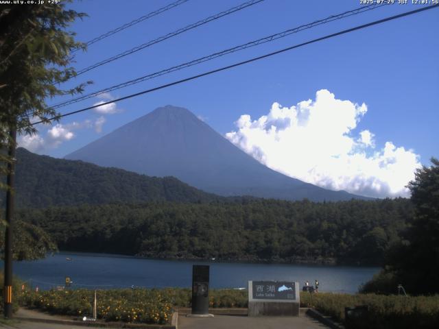 西湖からの富士山