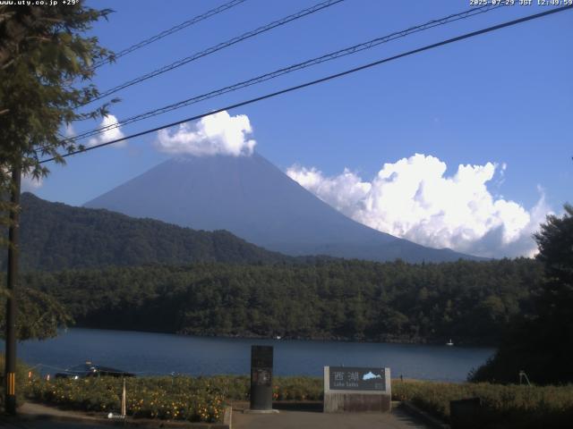 西湖からの富士山