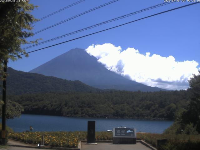 西湖からの富士山