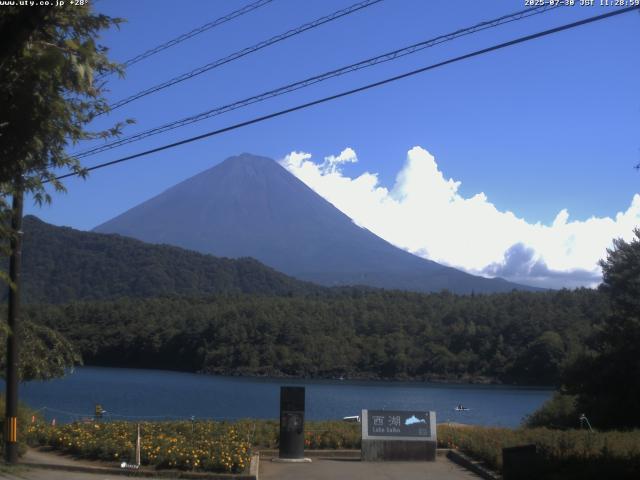 西湖からの富士山