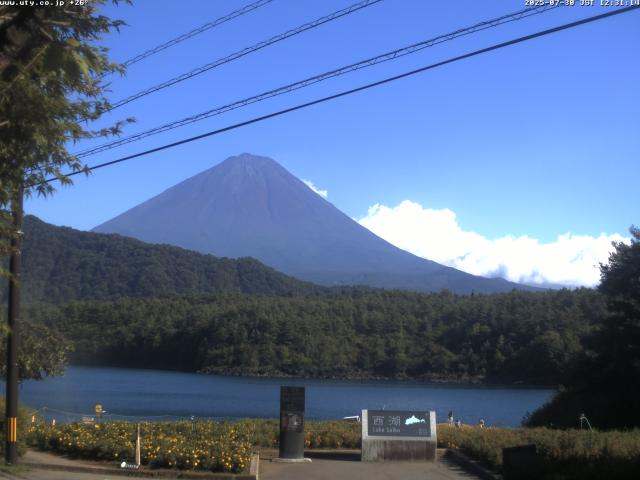 西湖からの富士山