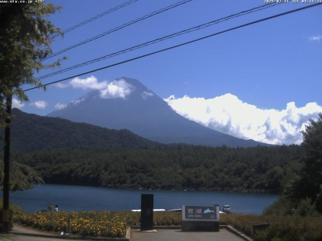 西湖からの富士山