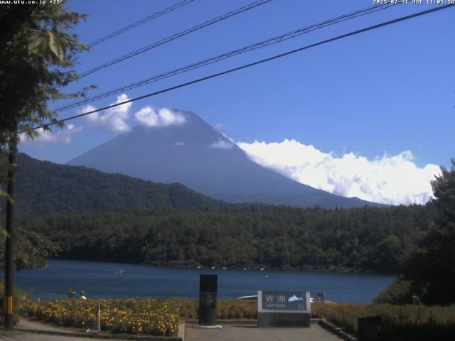 西湖からの富士山