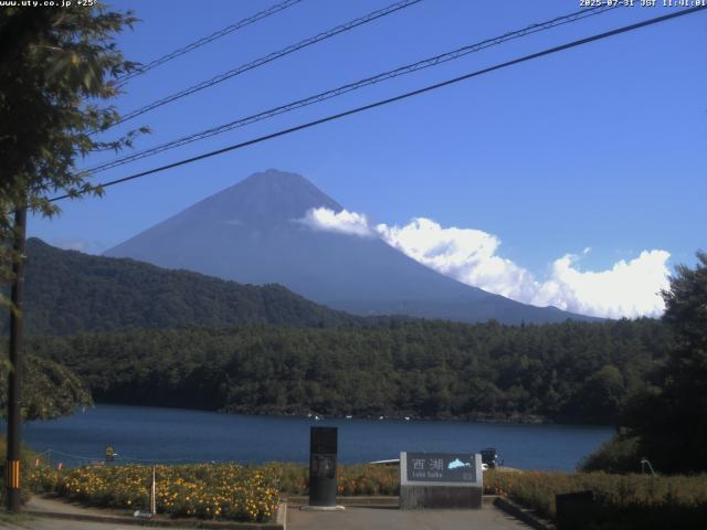 西湖からの富士山
