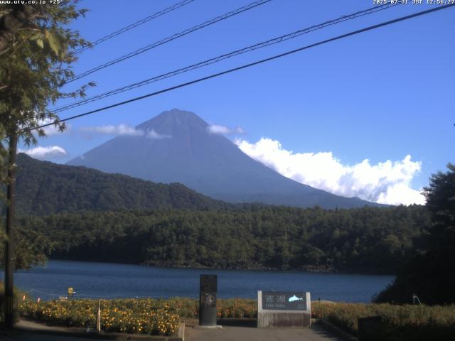 西湖からの富士山