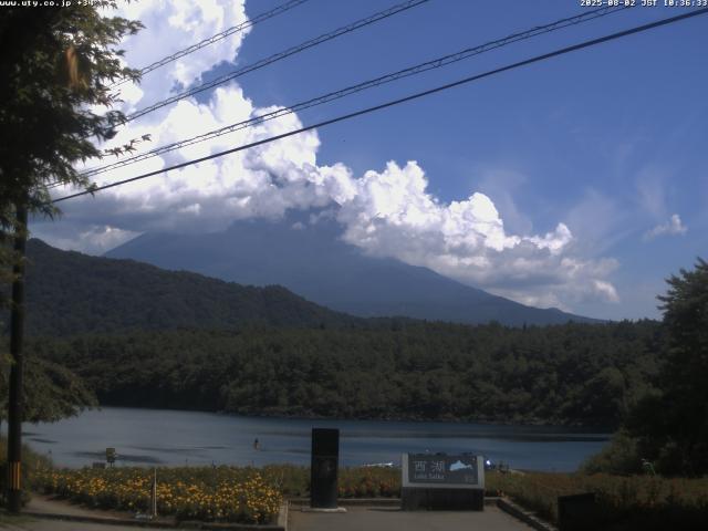 西湖からの富士山