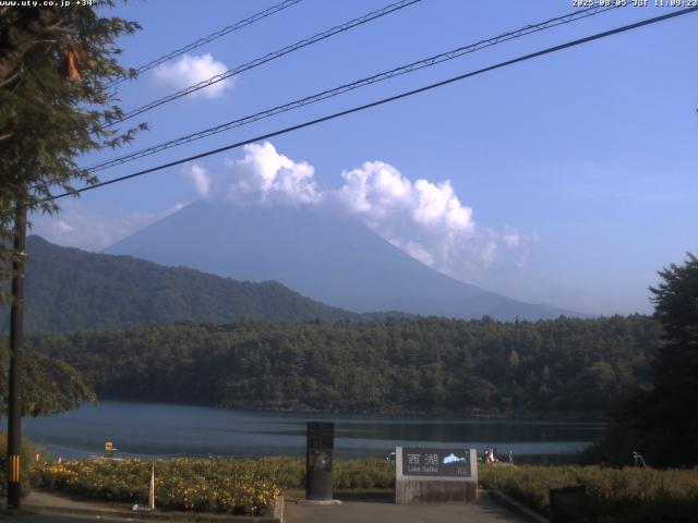 西湖からの富士山