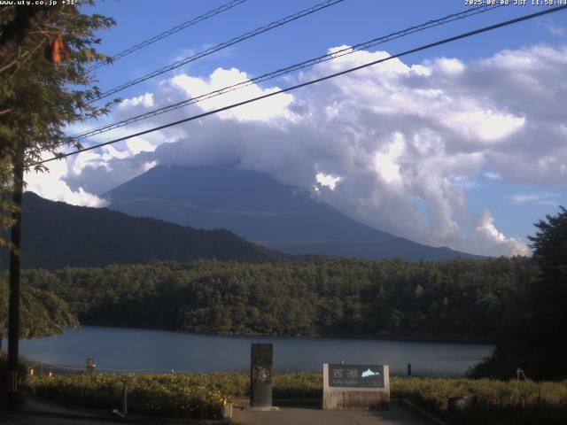 西湖からの富士山