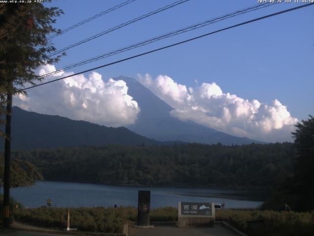 西湖からの富士山