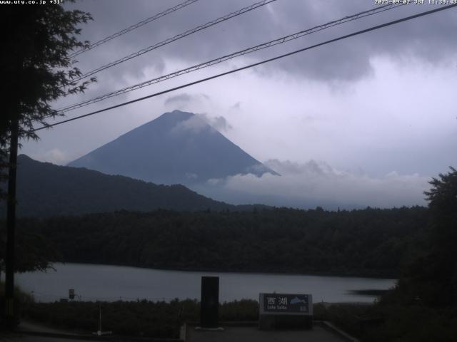 西湖からの富士山