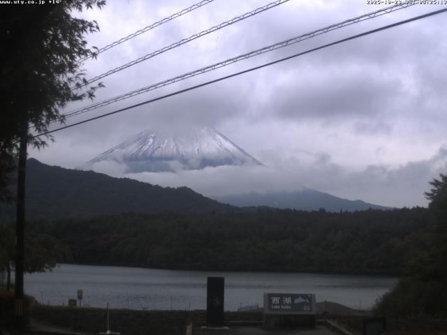 西湖からの富士山