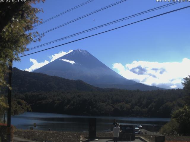 西湖からの富士山
